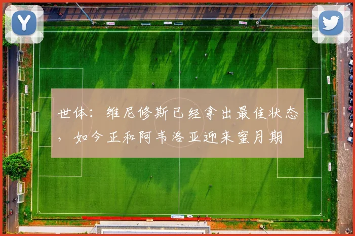 世体：维尼修斯已经拿出最佳状态，如今正和阿韦洛亚迎来蜜月期