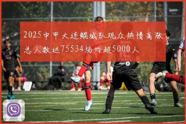 2025中甲大连鲲城队观众热情高涨总人数达75534场均超5000人