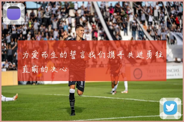 为爱而生的誓言我们携手共进勇往直前的决心